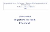 Colesterolo Digestione dei lipid i Fitosteroli · REGOLAZIONE della DEGRADAZIONE R.E. Colesterolo 7α-idrossicolesterolo Acido ascorbico acido O deidroascorbico 2 H 2O 7α-idrossilasi