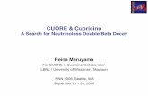 CUORE & Cuoricino - University of Wisconsin–Madisonneutrino.physics.wisc.edu/talks/old/Maruyama_CUORE_NNN06.pdf · CUORE & Cuoricino A Search for Neutrinoless Double Beta Decay