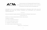 UNIVERSIDAD AUTONOMA METROPOLITANA I DIVISI“N DE 148.206.53.84/tesiuami/   1 universidad autonoma