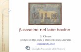 β-caseine nel latte bovino - aral.lom.it · Crescita e sviluppo del lattante ... Le β-caseine A1e A2(e B, A3e I) Anni ’90 studi scientifici ipotizzano impatto negativo per la