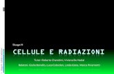 CELLULE E RADIAZIONI - lnl.infn.it newweb/images/Stage_2017/Stage_H.pdf  Vita cellulare Ciclo mitotico