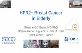 HER2+ Breast Cancer in Elderly - University of Nottingham .Laura Biganzoli (Italy), Etienne Brain
