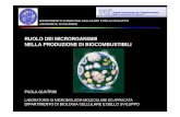 RUOLO DEI MICRORGANISMI NELLA PRODUZIONE DI ... - unipa.it · ruolo dei microrganismi nella produzione di biocombustibili paola quatrini laboratorio di microbiologia molecolare ed
