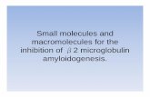 Small molecules and macromolecules for the inhibition of ...fisica.unipv.it/CILSOMAF/OldSite/files/activities/other_events... · inhibition of β2 microglobulin amyloidogenesis. N