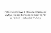 wytwarzające karbapenemazy (CPE) w Polsce sytuacja w 2016 - … · Metalo-β-laktamazy (MBL) • Są to β-laktamazy klasy , wymagające jonów Zn2+ jako kofaktorów • Enzymy te