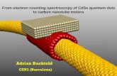 Nanotechnologia struktur jednowymiarowych: Nanoruki weglowe .Previous experiments: Gaussian distribution