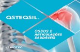 Osteosil folder (páginas) - · PDF file+50µg/ml+100µg/ml +500µg/ml A IL-1β (interleucina 1 β) é uma citocina pró-inflamatória que ativa a estromelisina. Quando Osteosil