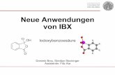 Neue Anwendungen von IBX - uni-heidelberg.de · Gliederung 1. Historischer Überblick 2. Darstellung von IBX und DMP 3. Ursprüngliche Anwendungsgebiete 4. Neue Anwendungsmöglichkeiten