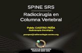 SPINE SRS Radiocirugía en Columna Vertebral · pedículo o fractura unión costo vertebral) . Ej.: 3 pts. Si bilateral . Categorización del Compromiso Vertebral Gradación BILSKY