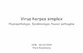 Virus herpes simplex - eiseverywhere.com · Virus herpes simplex Physiopathologie, Epidémiologie, Pouvoir pathogène SFM 26/11/2014 Flore Rozenberg