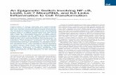 An Epigenetic Switch Involving NF-κB, Lin28, Let-7 ... · An Epigenetic Switch Involving NF-kB, Lin28, Let-7 MicroRNA, and IL6 Links Inﬂammation to Cell Transformation Dimitrios