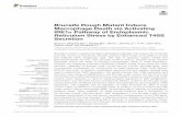 Brucella RoughMutantInduce MacrophageDeathviaActivating α … · 2017-09-27 · rough mutant induce macrophage death via activating IRE1α pathway of endoplasmic reticulum stress.