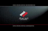 EINE EINZIGARTIGE A UNIQUE RACE TRACKRENNSTRECKE …ascari.net/wp-content/uploads/2016/07/Ascari-General-Info_Deutsch.pdf · Die Strecke Ascari Konzept β Es ist die längste Strecke