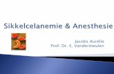 Jacobs Aurélie Prof. Dr. E. Vandermeulen Jacobs.pdf · Pathofysiologie Oude hypothese vs. Nieuwe Hypothese Firth P. G., Anesthesia for peculiar cells – a century of sickle cell