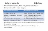 Leishmaniasis Etiology - Catholic University of Health and ... · Leishmaniasis Etiology • O. Kinetoplastida, Fam. Trypanosomatidae • Dimorphic with 2 main stages: Intracellular