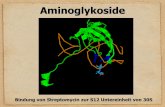 Aminoglykoside - aok.pte.huaok.pte.hu/docs/dsg/studium/chemie/Aminoglykoside.pdf · Einteilung I Sie werden nach der Struktur des Aglycons und der Zuckereinheiten eingeteilt. (Streptomycine,