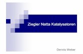 Ziegler Natta Katalysatoren - FH Münster · Struktur von α-T iCl 3 und. Ziegler Natta Katalysator An der Oberfläche Rot: 6-fach koordiniert Blau: 5-fach koordiniert Ein Orbital