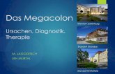 Das Megacolon Ursachen, Diagnostik, Therapie Megacolon.pdf · Mekonium-Plug-Syndrom (1:500) ... Ogilvie-Syndrom Zeichen einer mechanischen Obstruktion ohne mechanische Ursache. Akut
