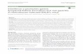 Interferon-γ promotes gastric lymphoid follicle formation ... · Chonwerawong et al. Gut Pathog DOI 10.1186/s13099-016-0142-0 RESEARCH Interferon-γ promotes gastric lymphoid follicle