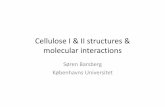 Cellulose I II structures & molecular interactionscostfp1205.com/wp-content/uploads/2017/events/Documents/barsberg... · Cellulose I & II structures & molecularinteractions • Cellulose