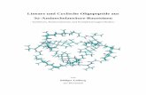 Lineare und Cyclische Oligopeptide aus 3α-Aminocholansäure ... · PDF fileLineare und Cyclische Oligopeptide aus 3α-Aminocholansäure-Bausteinen - Synthesen, Konformationen und