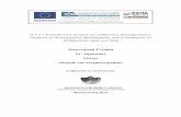 ΣΑΒΒΑΤΟΥΛΑ ΧΟΡΟΖΙΔΟΥproteas.greek-language.gr/files/document//chorozidou_kinimatografos.pdf · Π.3.2.1 Εκπαιυικά νάρια και μαθηιακές