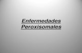 Enfermedades Peroxisomales - virtual.ffyb.uba.arvirtual.ffyb.uba.ar/pluginfile.php/84172/mod_resource/content/2/Enfermedades... · • Los peroxisomas están ausentes o severamente