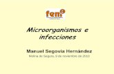 Microorganismos e infecciones - um.es · bienestar físico, mental y social, OMS 1946) • Infección ... – Bacterias – Virus – Hongos – Protozoos • Metazoos – Helmintos