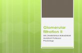Glomerular filtration II - zmchdahod.orgzmchdahod.org/pdf/college/renal_system_lecture_3_Physiology_29_01_2019.pdf · Glomerular filtration rate can be measured by the renal clearance