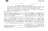 G gene polymorphism and production in ®²-thalassemia major ... IL-10 levels among thalassemia patients
