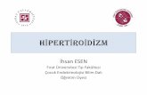 H £¸PERT £¸RO £¸D ZM - kisi.deu.edu. - upek 2017 (1).pdf¢  Soru 1: Rf l]o v hangisi hipertiroidizm nedeni