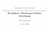 Komplexe Ginzburg-Landau Gleichungjeti.uni-freiburg.de/studenten_seminar/stud_sem06/ginzburg.pdf · Musterbildung Musterbildung ist ein Prozess, bei dem ein r¨aumlich homogener Zustand