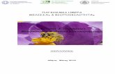 Μέλισσα & Περιβάλλον, Μελισσοκομία & Δασικά Οικοσυστήματα · PDF fileΜέλισσα & Περιβάλλον, Μελισσοκομία