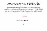 AMINOSAVAK, FEHÉRJÉK - beltanoda.hu FEHeRJeK2.pdf · Felosztás . A fehérjéket feloszthatjuk aszerint, hogy hidrolízisük során csak aminosavak keletkeznek (egyszerű fehérjék,