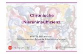 SAL 22 - Chronische Niereninsuffizienz - Dickenmann ... · Definition chronische Nierenerkrankung = CKD Vorliegen eines strukturellen Nierenschadens • Pathologischer Urinstatus