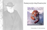 Εισαγωγή στη Ζωολογίαintroduction-zoology.weebly.com/uploads/2/2/1/5/22154302/01_lecture.pdf · Τα ζώα πρωτοεμφανίστηκαν στη θάλασσα