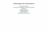 Pathologie des Dünndarms - xn--pathologie-mnster-e3b.deünster.de/Prof-Kuhnen-SS17/Gastroenteropathologie... · Cornelius Kuhnen Institut für Pathologie am Clemenshospital Münster
