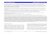 Research Paper in vivo epidermal telomere loss in Werner ... · PDF fileAccelerated in vivo epidermal telomere loss in Werner syndrome Naoshi Ishikawa 1 , Ken ‐ Ichi Nakamura 1 ,