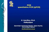 PCR quantitative PCR (qPCR) - · PDF fileαποτύπωση (blotting) (Southern Blot για DNA και Northern Blot για RNA) ανίχνευση προιόντων PCR με ηλεκτροφόρηση
