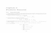Cap´ıtulo 3 Producto Tensorial - matematica.uv.clmatematica.uv.cl/djimenez/archivo/texto320-3.pdf · Cap´ıtulo 3 Producto Tensorial 3.1. Introducci´on Construyamos un modelo