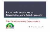 Impacto de los Alimentos transgénicos en la Salud Humanasitios.upla.cl/contenidos/wp-content/uploads/2011/12/PRESENTACIÓN...•ADN codificante 1.5% (exones) •29.000 en humanos