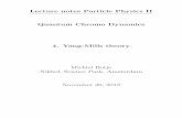 Lecture notes Particle Physics II Quantum Chromo Dynamics ...h24/qcdcourse/2012/section-4+5.pdf · Lecture notes Particle Physics II Quantum Chromo Dynamics 4. Yang-Mills theory Michiel