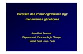 Diversité des immunoglobulines (Ig): mécanismes génétiques · RAG-1 and RAG-2. répertoire B: diversité combinatoire Gene Segments Combinations Vκ 40 Jκ 5 200 κchains Vλ