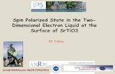 Spin Polarized State in the Two- Dimensional Electron ... · Spin Polarized State in the Two-Dimensional Electron Liquid at the Surface of SrTiO3 . M. Gabay . Schloβ Waldthausen