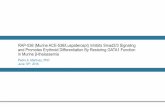 RAP-536 (Murine ACE-536/Luspatercept) Inhibits Smad2/3 ...acceleronpharma.com/wp-content/uploads/2017/03/20160610-PedroEHA2016... · RAP-536 (Murine ACE-536/Luspatercept) Inhibits