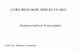 CURS BIOLOGIE MOLECULARĂdbbm.bio.unibuc.ro/pdf/licenta_2014/biochimie/Curs_BM3.pdf · 24 Concluzii (I) ARN polimerazele sunt proteine mari compuse din subunităţi beta, beta’