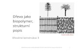 Dřevo jako biopolymer, strukturní popiskps.fsv.cvut.cz/upload/files/3drko2010stavbadeva.pdf · Dřevo jako biopolymer, strukturní popis Dřevěné konstrukce 3 Dřevěné konstrukce,
