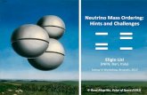 Neutrino Mass Ordering: Hints and · PDF fileNeutrino Mass Ordering: Hints and Challenges ß René Magri+e, Voice of Space (1931) Eligio Lisi (INFN, Bari, Italy) Solvay ν Workshop,
