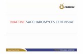 INACTIVE SACCHAROMYCES CEREVISIAE - icfood.vnicfood.vn/home/wp-content/uploads/2015/01/INACTIVE-SACCHAROMYCES... · dược xác định là tương tác chính giữa độc tố