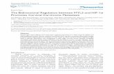 The Bidirectional Regulation between MYL5 and HIF-1α ...The Bidirectional Regulation between MYL5 and HIF-1α Promotes Cervical Carcinoma Metastasis Lan Zhang1*, Shu-Ting Huang1*,